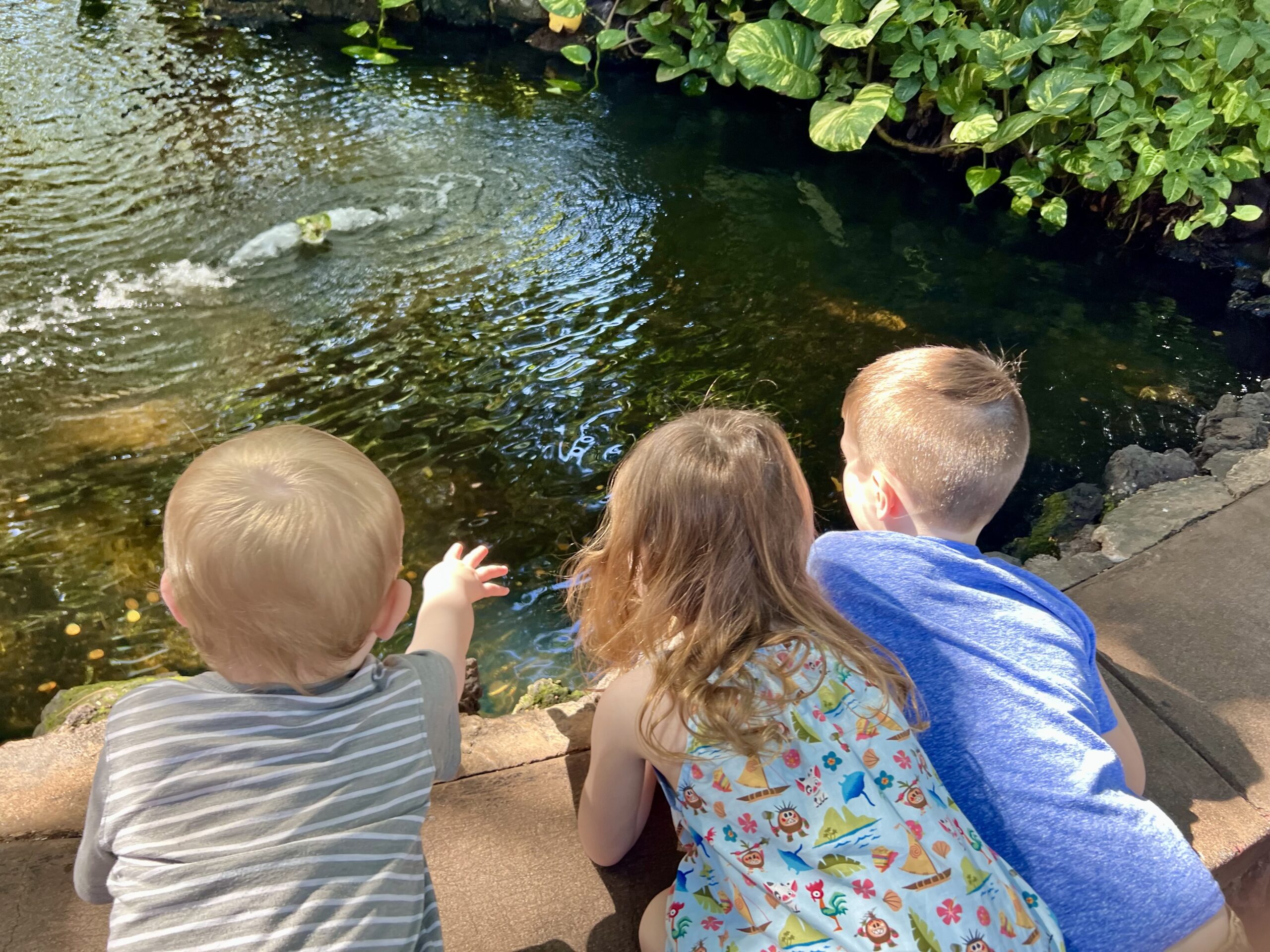 Maui Children play in a pond